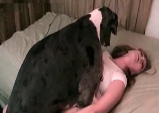 Wife and Dalmatian like each other
