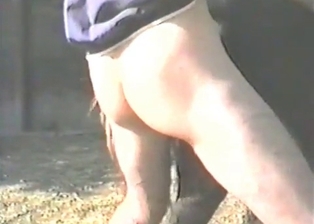 Stud anally drills his lovely stallion