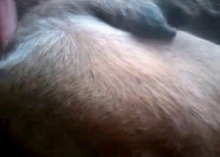 Animal sex looks so sweet