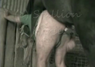 Fat man is trying to fuck with horse