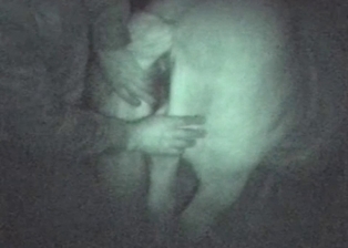 Farmer fucks with animals in the night