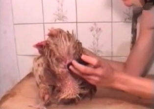 Cock nicely fucked with a sex toy