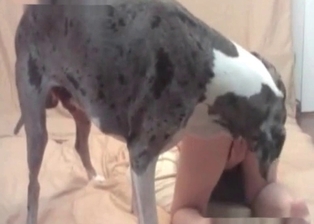 Girlfriend adores mutt putz