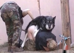 Graceful coquette dicked by doggy