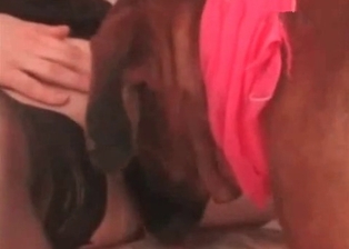 Dog eats her hole with ion and love