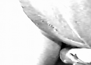 Filly fucks a tight wet anal hole