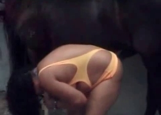 Innocent girl and sexy colt in amateur bestiality
